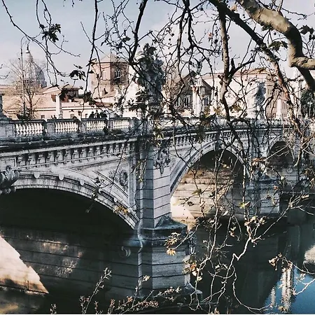 Sweet Navona *